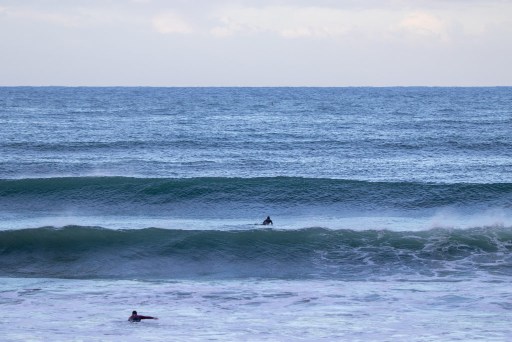 surf surf surf surf 